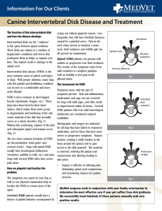 Canine Intervertebral Disk Disease and Treatment