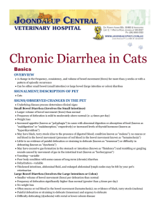 Chronic Diarrhea In Cats