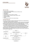 Hyperlipaemia in Donkeys