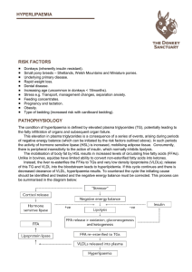 Hyperlipaemia in Donkeys