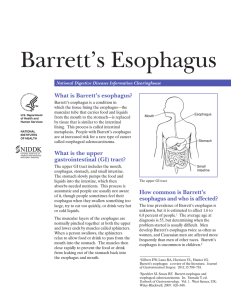 Barrett`s Esophagus - Syracuse Gastroenterological Associates