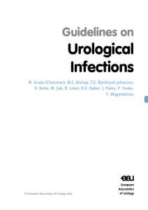 Urological Infections Guidelines on