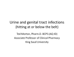 Urine and genital tract infections (hitting at or below the belt)