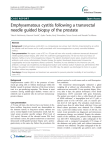 Emphysematous cystitis following a transrectal needle guided biopsy of the prostate