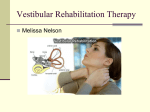 Vestibular Rehabilitation Therapy Melissa Nelson 