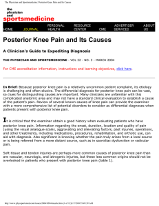 Posterior Knee Pain and Its Causes