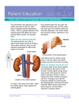 Facts about CAH (Congenital Adrenal Hyperplasia)