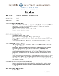 BK Virus  BK Virus, quantitative, plasma and urine