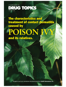 POISON IVY The characteristics and treatment of contact dermatitis caused by