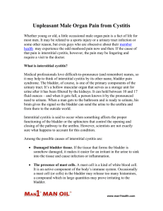 Unpleasant Male Organ Pain from Cystitis