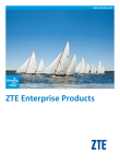 ZTE Enterprise Products