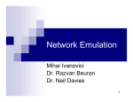 Network Emulation