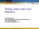 Fitting Voice Into Your Network