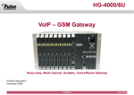 VoIP – GSM Gateway HG