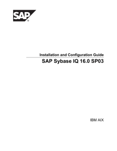 View this document as PDF - Sybase