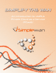 SimpleWan - Intro to vMPLS