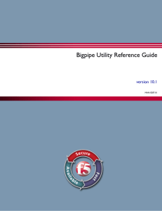 Bigpipe Utility Reference Guide