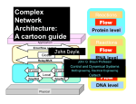 Complex Network Architecture: A cartoon guide