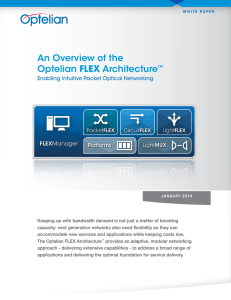 an Overview of the Optelian FLEX architecture™