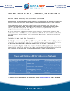 MegaNet Dedicated Internet Access Features