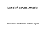 Denial of Service Attacks