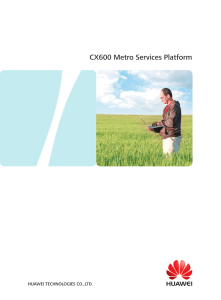 CX600 Metro Services Platform