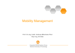 Macro Mobility Management