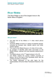 River Ribble - Mersey Basin Campaign