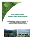 Taiga Cordillera Ecozone Evidence for key