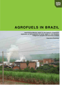agrofuels in brazil - FIAN International