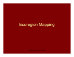 Ecoregion Mapping