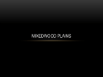 Mixedwood Plains