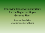 Upper Genesee River - Genesee River Wilds Project