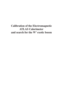 Departamento de Fısica Te´orica Calibration of the Electromagnetic