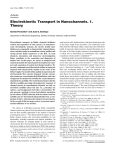 Electrokinetic Transport in Nanochannels. 1. Theory