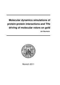 Molecular dynamics simulations of protein