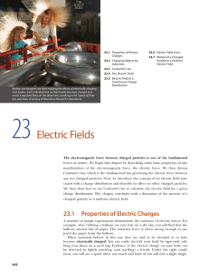 Electric Fields - Dr. Fehmi Bardak