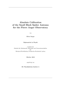 Absolute Calibration of the Small Black Spider Antenna for the