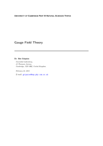 Gauge Field Theory - High Energy Physics Group