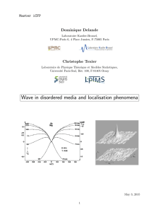 Wave in disordered media and localisation phenomena