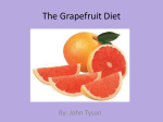 Grapefruit Diet