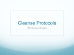 Bronwyn-Michaelis-Cleansing-Protocols