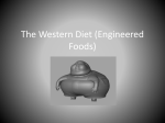The Western Diet
