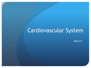 Cardiovascular System