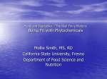 Being Fit with Phytochemicals
