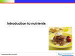 Slide 1