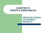 chapter 51 fruits & vegetables