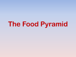 The Food Pyramid