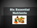 Nutrient Powerpoint