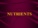 Nutrients Power point